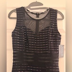 Black and Silver Sheer Striped Dress